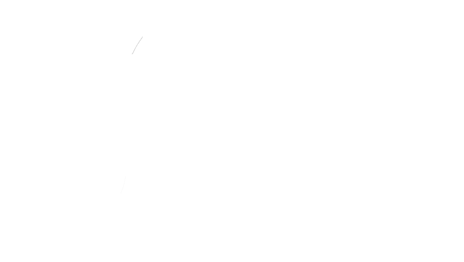 Logotyp LPA