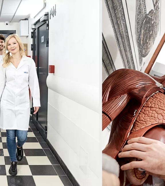 Łódzkie Partnerstwo Akademickie inauguracja